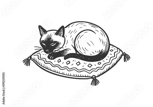 Siamese Cat hand drawn simple sketch vector illustration