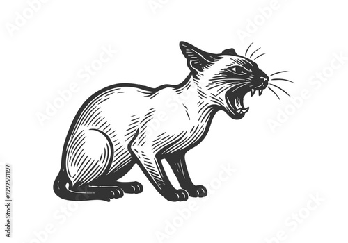 Siamese Cat hand drawn simple sketch vector illustration