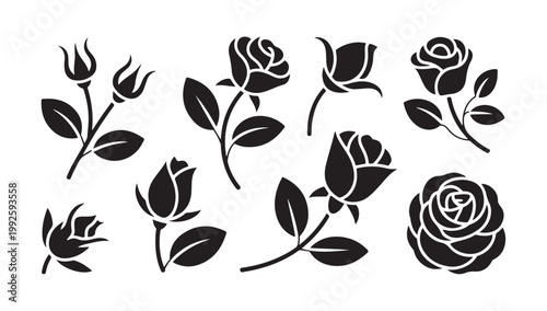 Collection of stylized rose flowers and buds with leaves vector graphic elements.
