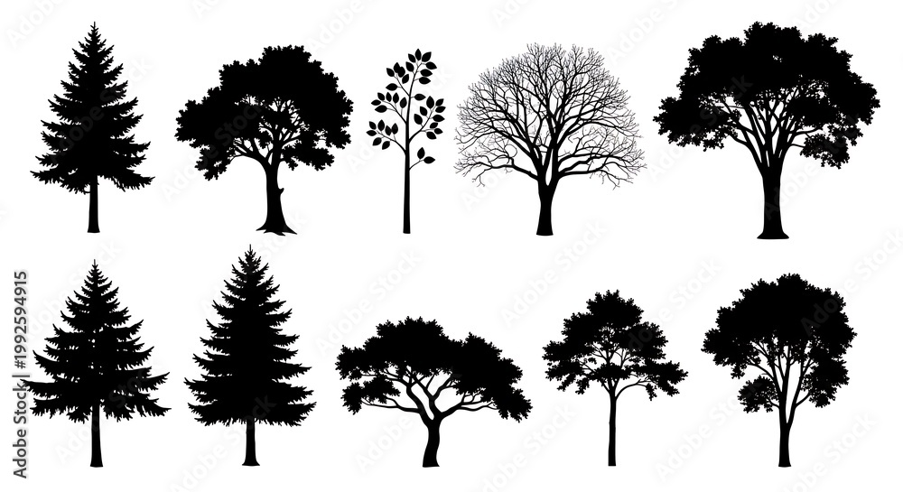Fototapeta premium Collection of silhouette trees on white background for design elements