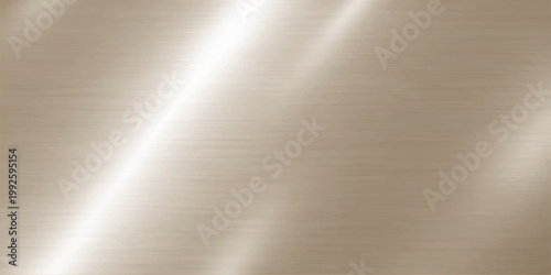 A polished silver stainless steel plate features a brushed metal texture with a shiny gray aluminum surface reflecting light across the smooth metallic backdrop pattern