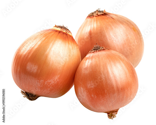 Group of three whole yellow onions with papery golden skin isolated. Fresh raw organic vegetables for healthy cooking. Professional high resolution studio food photography.