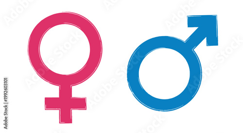 Interlinked female and male gender symbols in pink and blue illustration.