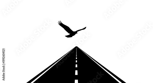 Bird flying over a road.