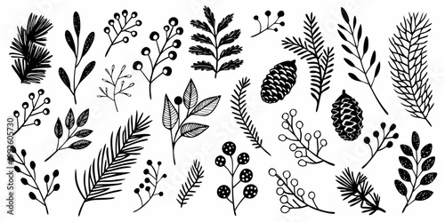 Hand drawn botanical illustration featuring various leaves branches and pinecones