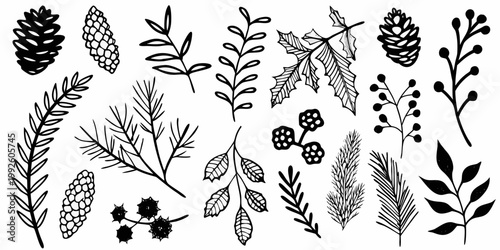 Bild auf Leinwand Botanical illustrations of various leaves pinecones and floral elements