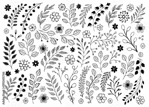 Hand drawn floral collection featuring various botanical elements and foliage