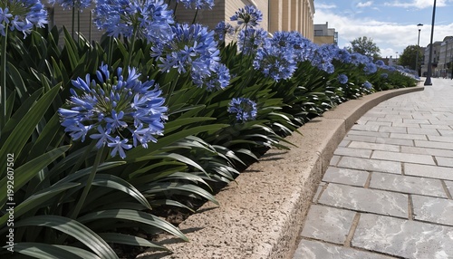 A beautifully landscaped sidewalk with vibrant blue flowers and lush greenery on a sunny day