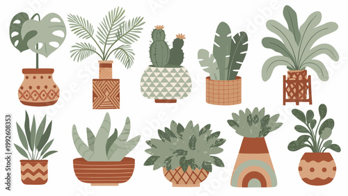 Variety of potted houseplants with decorative containers in a botanical illustration