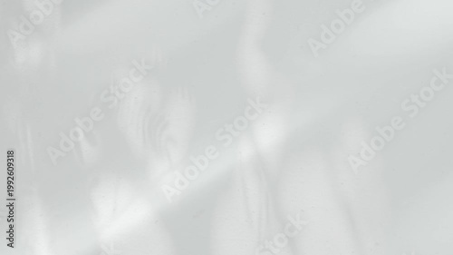 Shadow grey background wall light white overlay abstract plant 4k backdrop mockup minimal summer wallpaper, blur nature spring autumn orange video vintage light branching floral,card holidays.