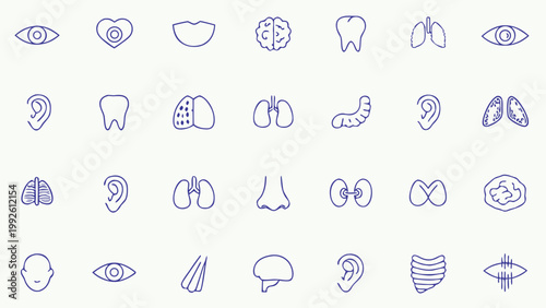 Collection of hand drawn blue line icons representing various human organs