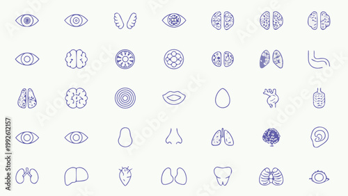 Collection of blue line art icons depicting various human organs and senses