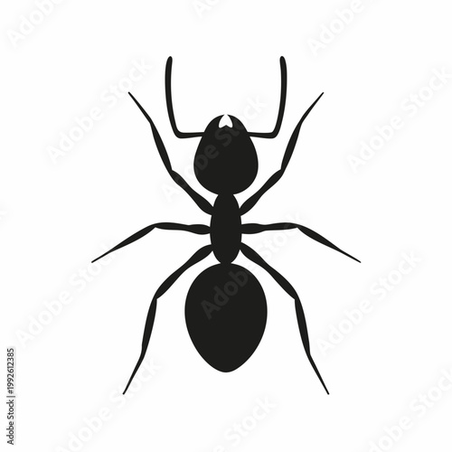 Simple black silhouette of an ant with visible head and body segments