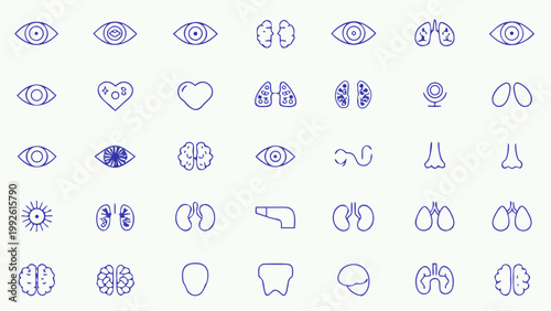 Collection of blue line art icons depicting human organs and body parts