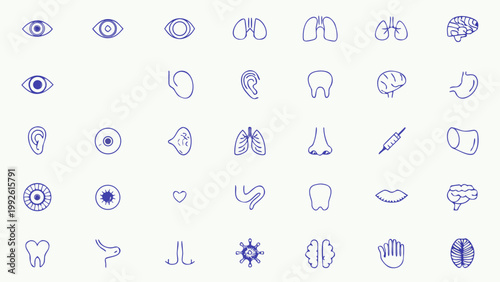 Anatomical illustrations depict various human organs and body parts