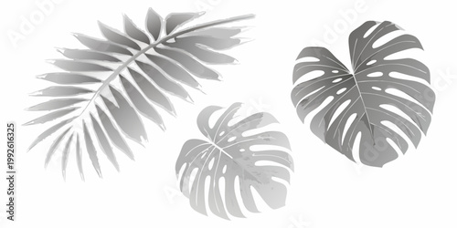 Monstera leaves in grayscale a botanical illustration with tropical vibes