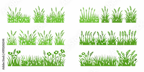 Collection of various green grasses and wildflowers in vector illustration