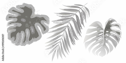 Monstera leaves illustration in grayscale with artistic brushstroke details