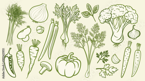 A collection of hand drawn vegetable illustrations in a light green hue