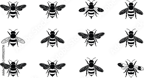Bee silhouette collection set featuring detailed honeybee icons with wings, stripes, and insect anatomy in clean black vector style