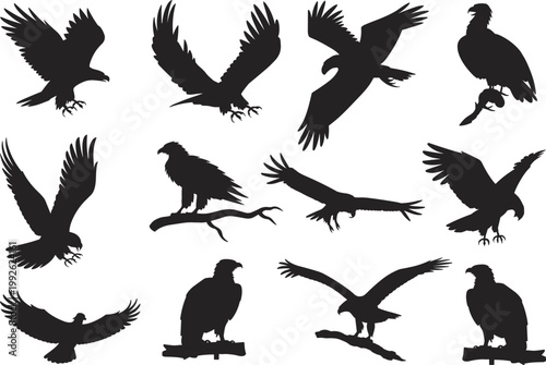 Black eagle silhouette collection, flying wings spread, perched raptor poses, swooping talons extended, majestic bird of prey vector illustration