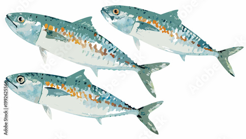 Watercolor painting depicting three mackerel fish swimming together gracefully