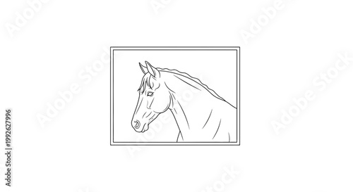 Elegant Horse Head Outline Drawing, Minimalist Line Art, Equestrian Art