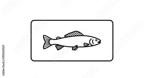 Simple Line Art Icon of a Salmon Fish, Vector Illustration