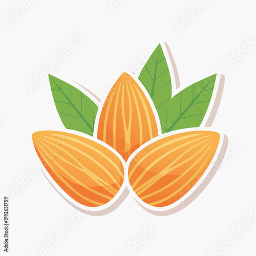 Illustration of almonds and green leaves