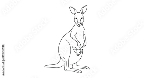 Detailed line art drawing of a kangaroo mother with a small joey peeking out from her pouch on white background.