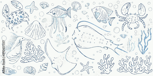 An assortment of whimsical hand drawn marine life and shells