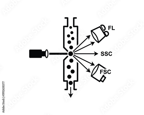 Flow cytometer laser detection principle diagram showing forward, side scatter and fluorescence.