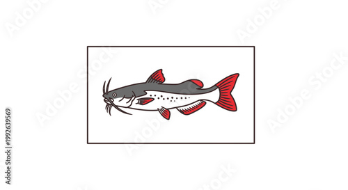 Illustration of a Channel Catfish with Red Fins and Tail, Side View