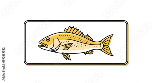 Illustration of a Yellow Drum Fish in a Rectangular Frame
