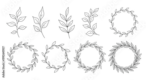 Set of botanical illustrations features various hand drawn leaf branches and circular wreaths in a simple black line art style.