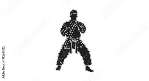 Martial arts fighter in karate gi, silhouette, fighting stance