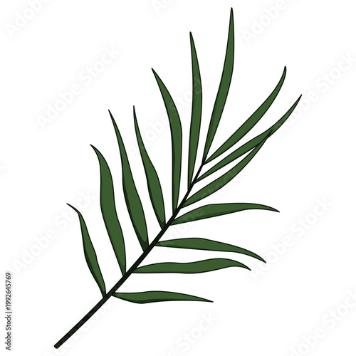Green palm leaf illustration on transparent background for summer vacation