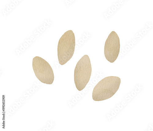 玄米と米粒の水彩イラスト - 透過PNG素材300dpi