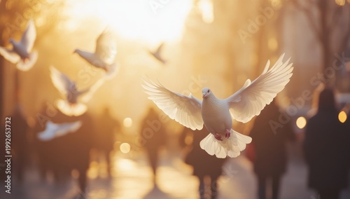White dove in graceful flight, backlit by golden hour sun, wings spread, with blurred urban background and people.