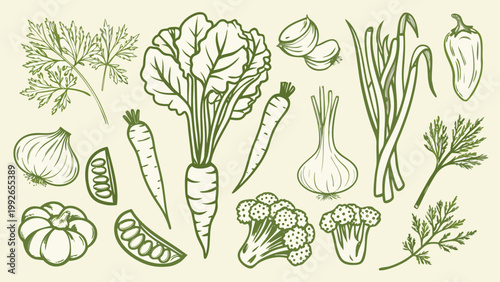 A botanical illustration featuring a variety of fresh vegetables