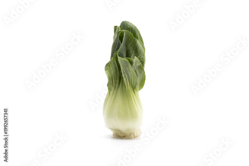 Obraz na płótnie Fresh bok choy isolated on white background