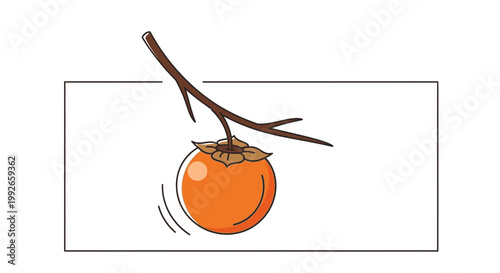Ripe Orange Persimmon Fruit Hanging on a Branch, Ready to Fall