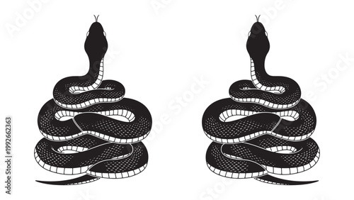 Mystical Black and White Coiled Snakes Illustration, Detailed Reptile Serpent Animal Art Design Element in Tattoo Style