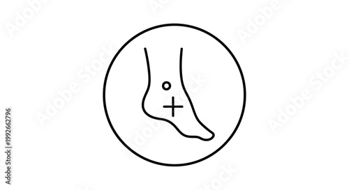 Acupuncture Point on Human Foot: Medical Illustration for Alternative Therapy and Wellness