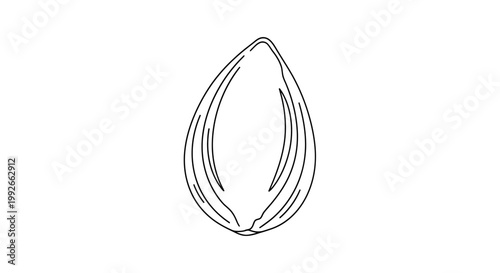 Almond Seed Outline Icon, Healthy Food Ingredient, Vector Illustration