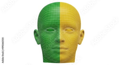 Split-face illustration depicting contrasting colors on either side of a human head isolated on white background