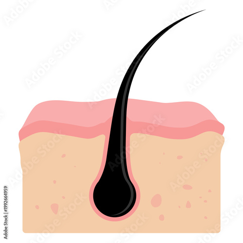 Photos Healthy Hair Follicles illustration cartoon cute
