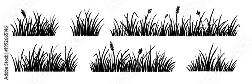 Grass doodle vector line set. Hand drawn grass sketch with meadow field lawn blade flower bush crayon chalk texture. Cute cartoon garden pattern scribble nature background. Vector illustration