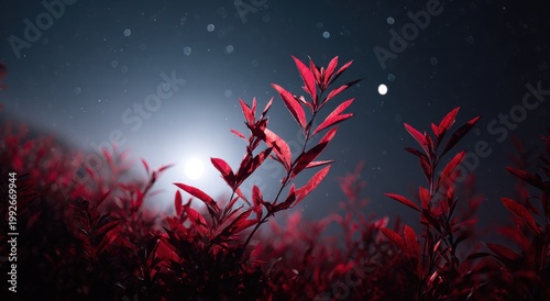Vibrant crimson leaves bathed in soft moonlight, with ethereal bokeh dots