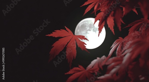 Crimson maple leaves against a glowing full moon on a dark night